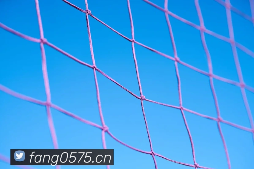 爱游戏ayx在线登录入口平台生态图